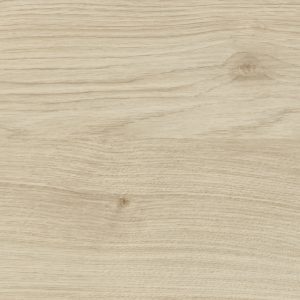 E27 Knoesteiken natuur